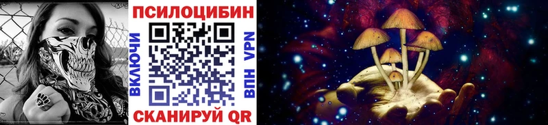 Псилоцибиновые грибы Psilocybe  Ковров 